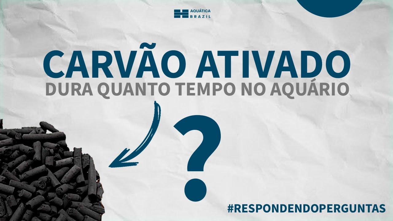 Quanto TEMPO DURA O CARVÃO ativado? #respondendoperguntas - Peixemania