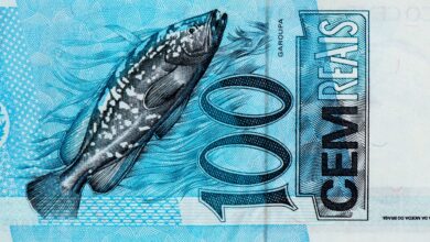 O peixe da nota de 100 reais