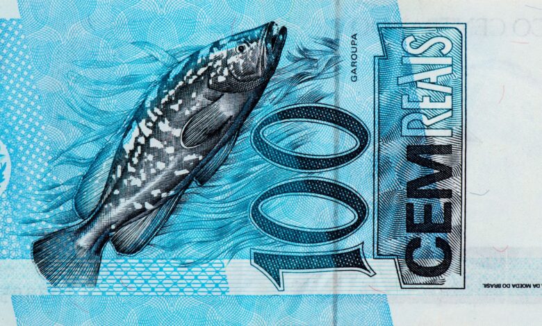 O peixe da nota de 100 reais